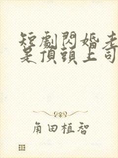 短剧闪婚老公竟是顶头上司免费