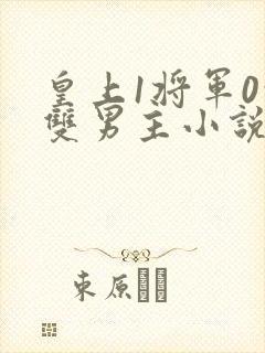 皇上1将军0的双男主小说