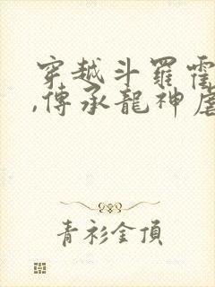 穿越斗罗霍雨浩,传承龙神虐唐三的小说