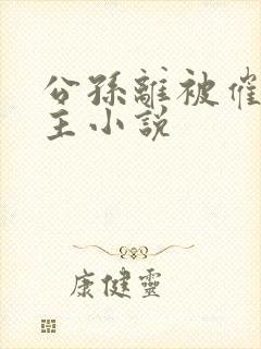 公孙离被催眠认主小说