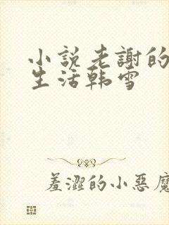 小说老谢的美好生活韩雪