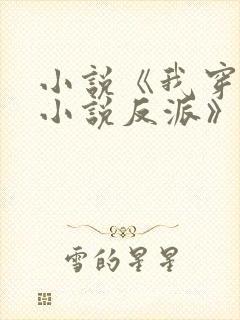 小说《我穿越成小说反派》