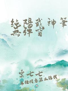 纯阳武神笔趣阁无弹窗