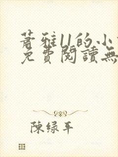 萧雅11的小说免费阅读无弹窗最新章节