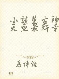 小说万古神帝飞天鱼最新章节列表免费