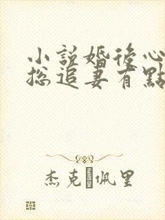 小说婚后心动凌总追妻有点甜免费阅读