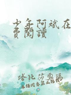 少年阿斌在线免费阅读