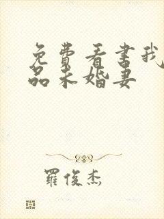 免费看书我的极品未婚妻