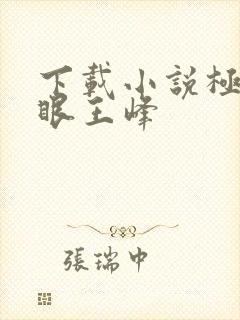 下载小说极品神眼王峰