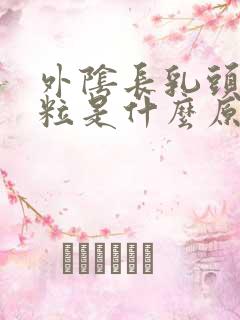 外阴长乳头状颗粒是什么原因