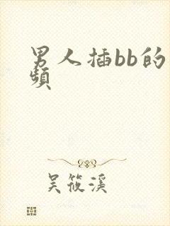 男人插bb的视频