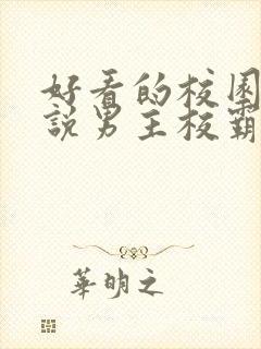 好看的校园文小说男主校霸