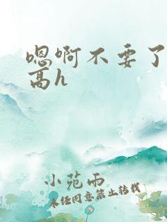 嗯啊不要了调教高h