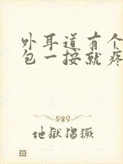 外耳道有个小鼓包一按就疼