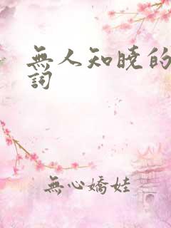 无人知晓的我歌词