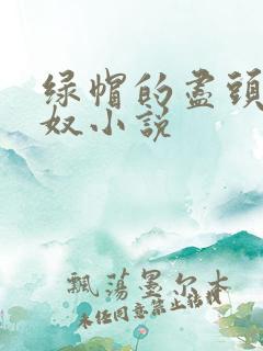 绿帽的尽头是绿奴小说