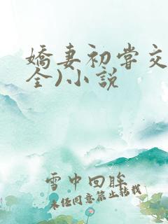 娇妻初尝交换(全)小说
