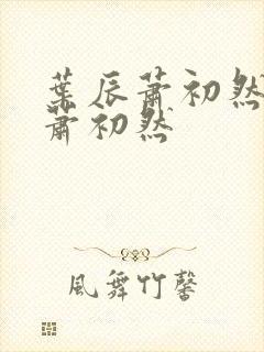 叶辰萧初然叶辰萧初然