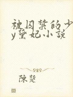 被囚禁的少女by黛妃小说