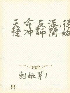 天命反派,从逆徒冲师开始小说在线观看