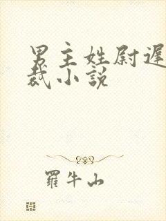 男主姓尉迟的总裁小说