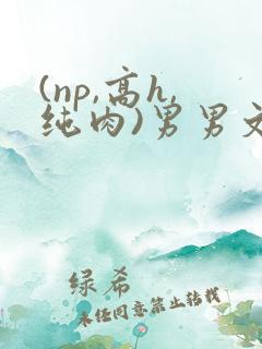 (np,高h,纯肉)男男文