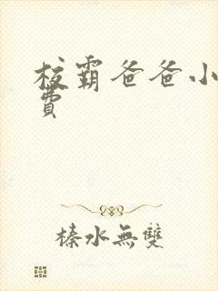 校霸爸爸小说免费