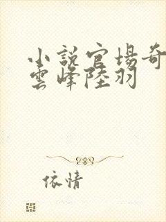 小说官场奇才刘云峰陆羽