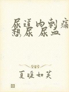 尿道内刺痛一直想尿 尿血