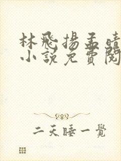 林飞扬孟晴雪的小说免费阅读