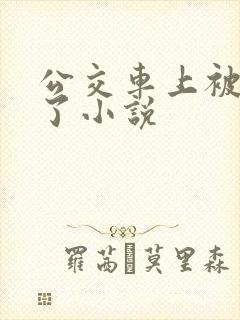 公交车上被人操了小说