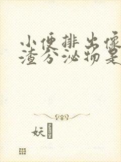 小便排出像豆腐渣分泌物是怎么回事