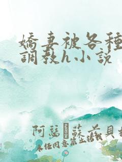 娇妻被各种刑具调教h小说