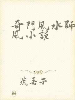 奇门风水师李乘风小说