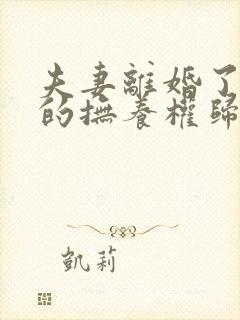 夫妻离婚了孩子的抚养权归谁