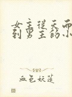 女主从天而降砸到男主的小说