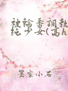 被轮番调教的清纯少女(高h