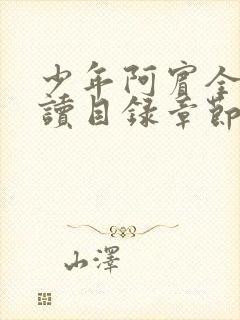 少年阿宾全文阅读目录章节