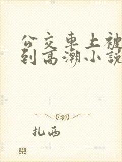 公交车上被人摸到高潮小说