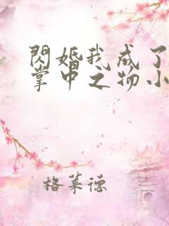 闪婚我成了大佬掌中之物小说全文免费阅读