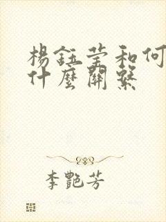 杨钰莹和何炅是什么关系