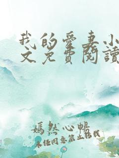 我的爱妻小冉全文免费阅读笔趣阁