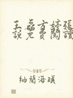 王磊方婷张芳小说免费阅读全文最新