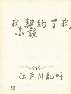我契约了我自己 小说