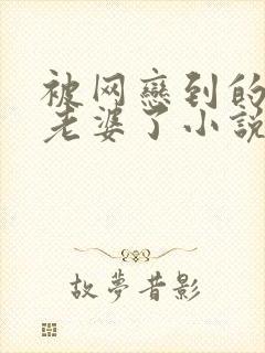 被网恋到的漂亮老婆了小说结局