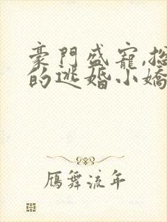 豪门盛宠,总裁的逃婚小娇妻 桐小同