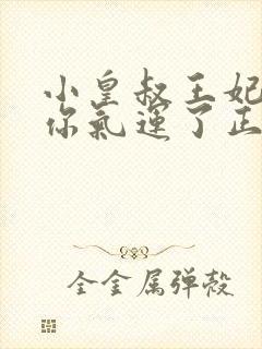 小皇叔王妃又薅你气运了正版