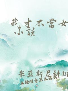 我才不当女武神 小说