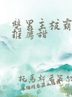 双男主校霸小说推荐甜