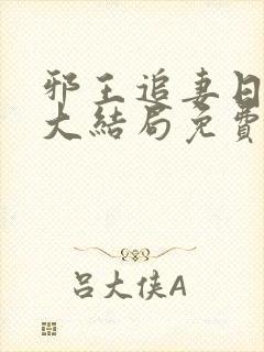 邪王追妻日日忙大结局免费阅读